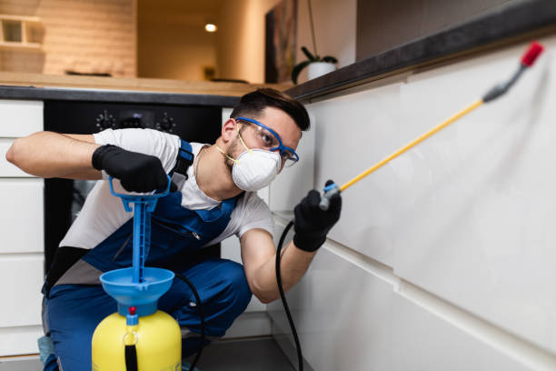 Best Pest Control for Businesses  in Millwood, WA