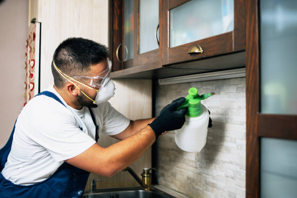 Best Mosquito Control Services  in Millwood, WA