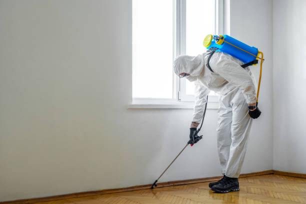 Best Emergency Pest Control  in Millwood, WA