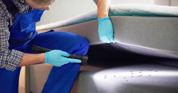 Best Pest Prevention Services  in Millwood, WA