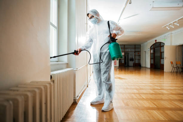 Best Rat Extermination Near Me  in Millwood, WA