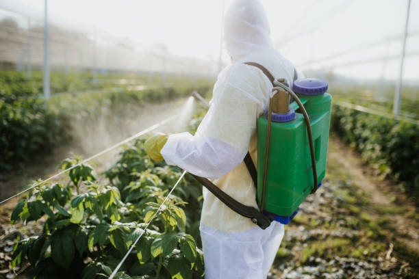 Best Local Pest Control Services  in Millwood, WA